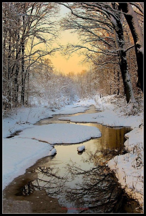 пейзаж зимний