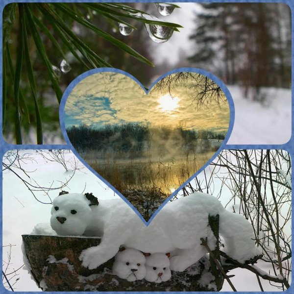 добрая зимнее утро