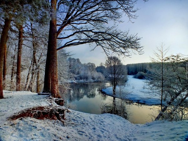 зимний лес с рекой