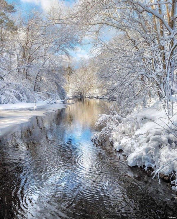 красивые пейзажи зимы