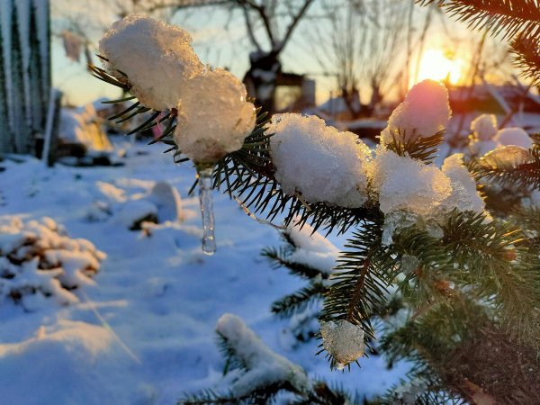 сказочная зима