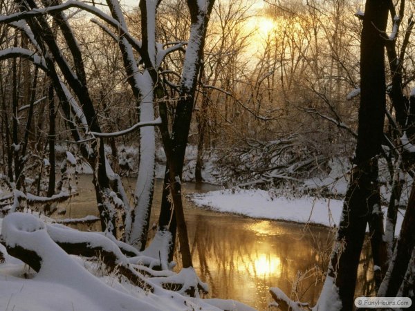речка зимой в лесу