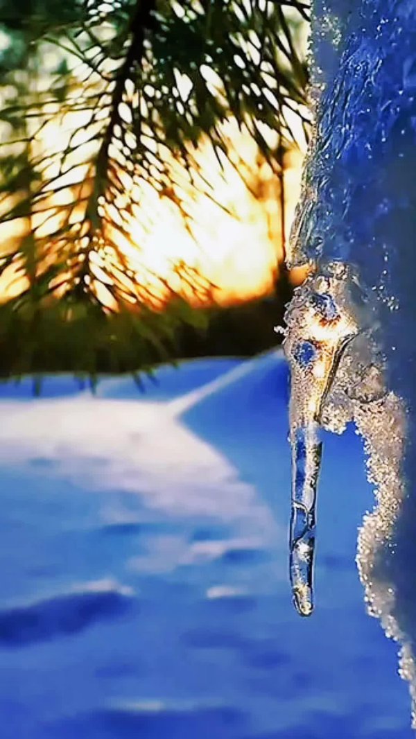 весенняя капель