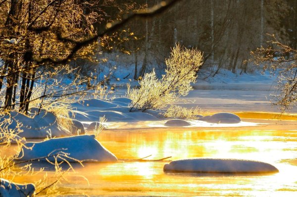 красивые пейзажи ранней весны