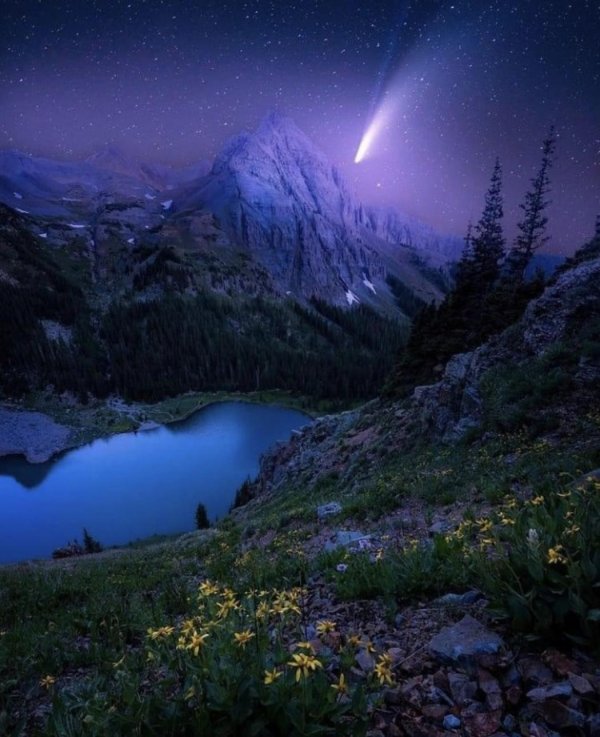 ночная природа