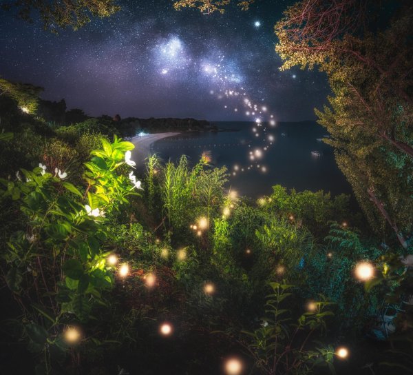 ночные пейзажи природы