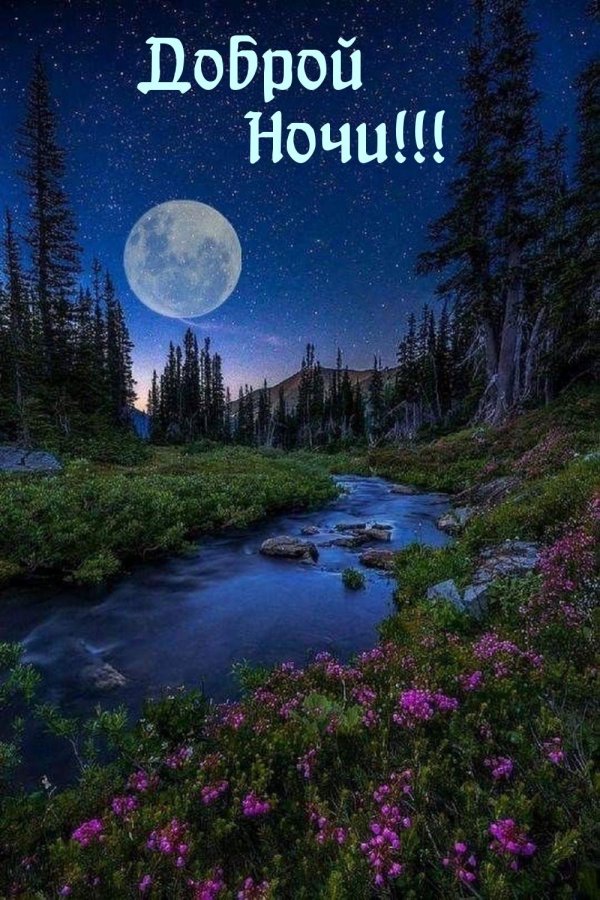 спокойная ночи