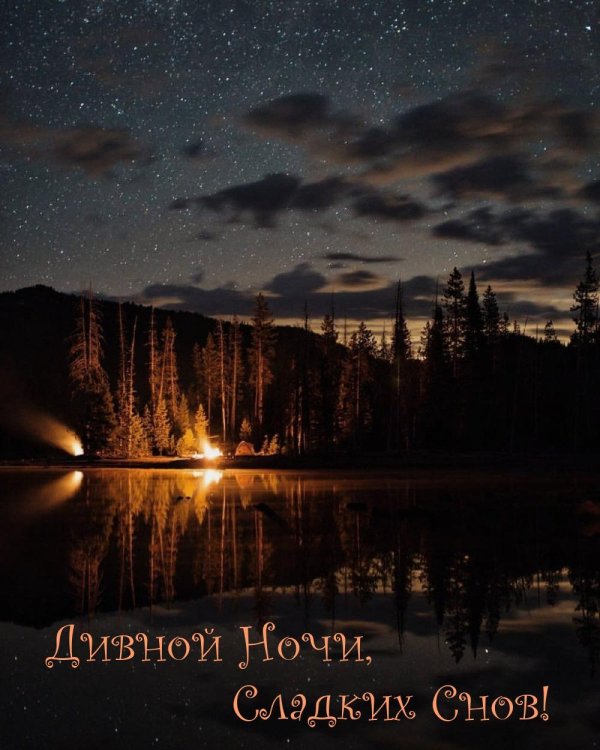 мирной ночи