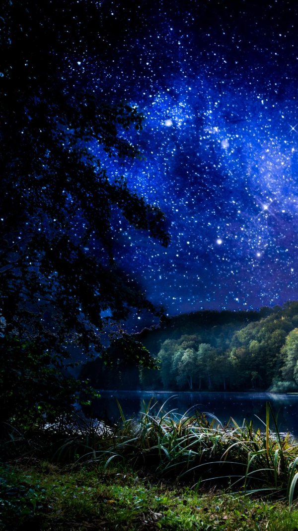 красивая ночная природа