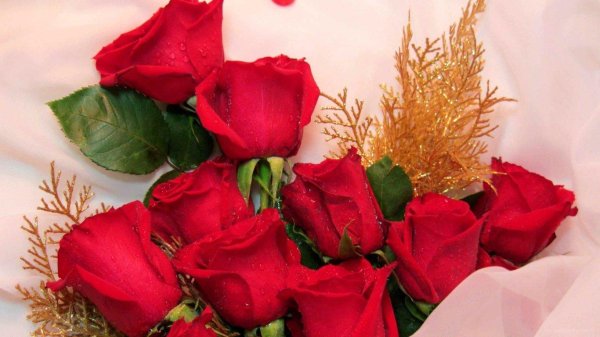 красивой женщине красивые цветы