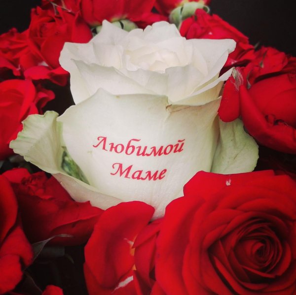 любимой маме