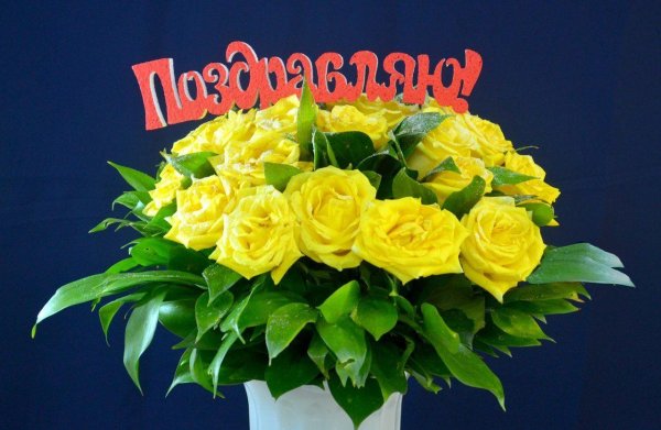 жёлтая роза