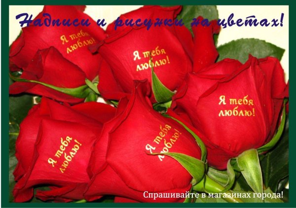 как цветами сказать я тебя люблю