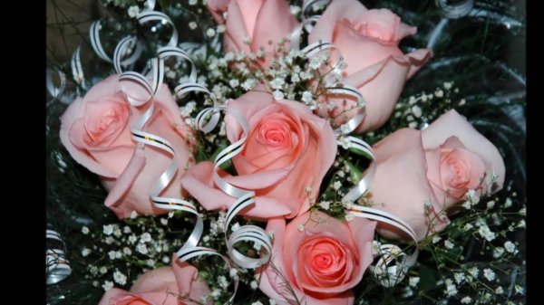 красивые цветы женщине