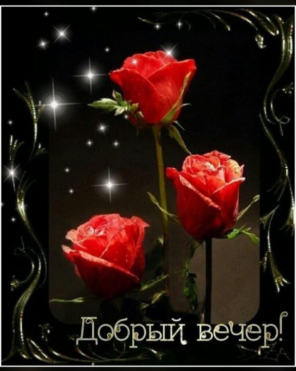добр вечер