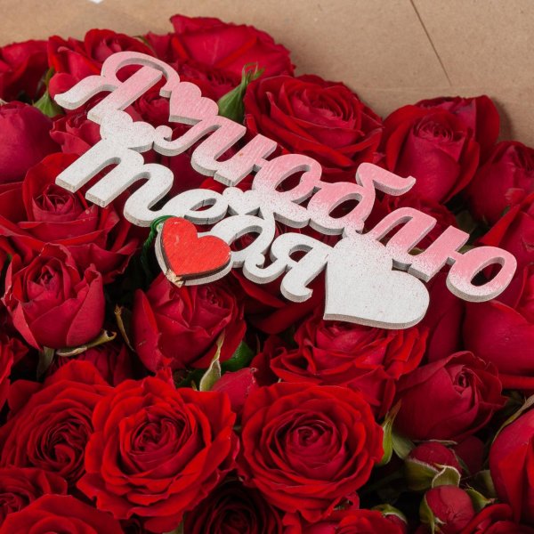 красная роза