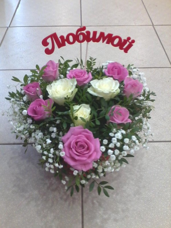 цветы ярославль