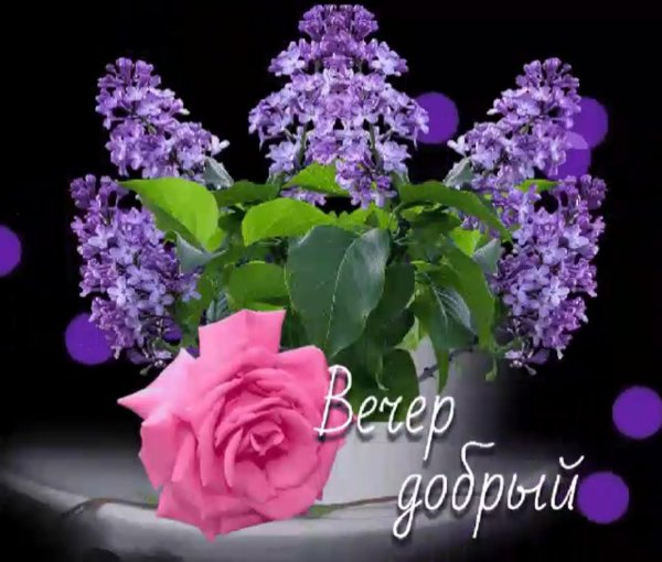 доброго майского вечера