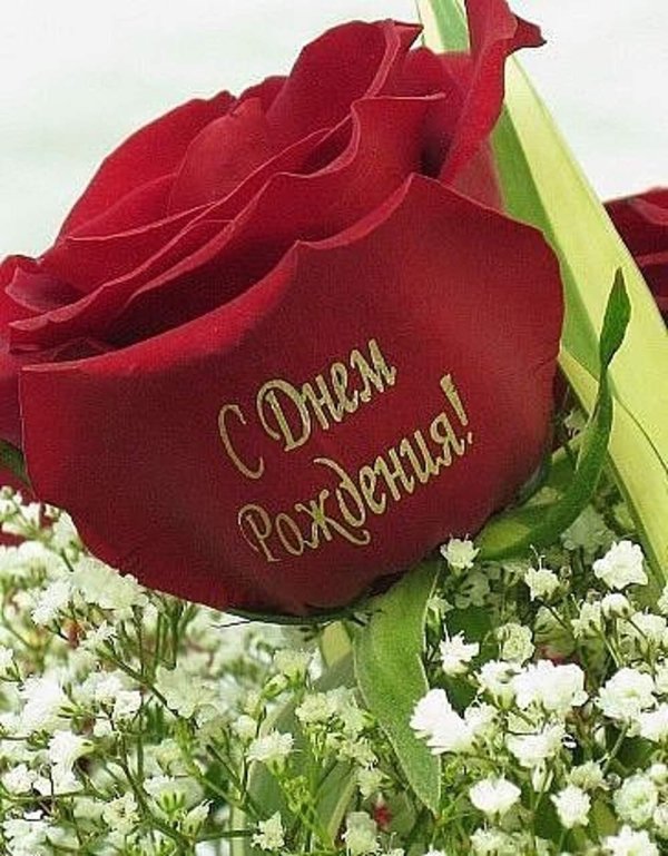 цветок на день рождения