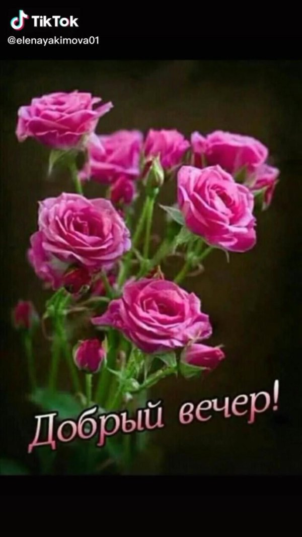 добрый вечер добрый вечер