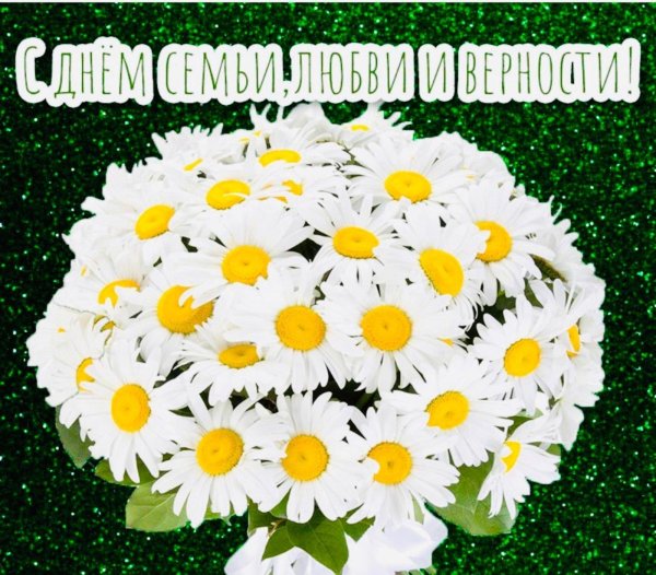 ромашка ко дню семьи любви и верности