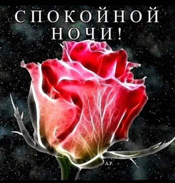 спокойной ночи цветы