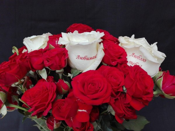 букет любимой