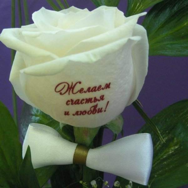 цветок для любимой
