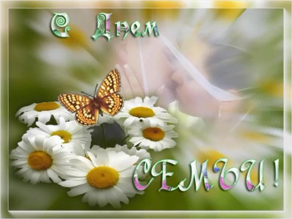 день семьи