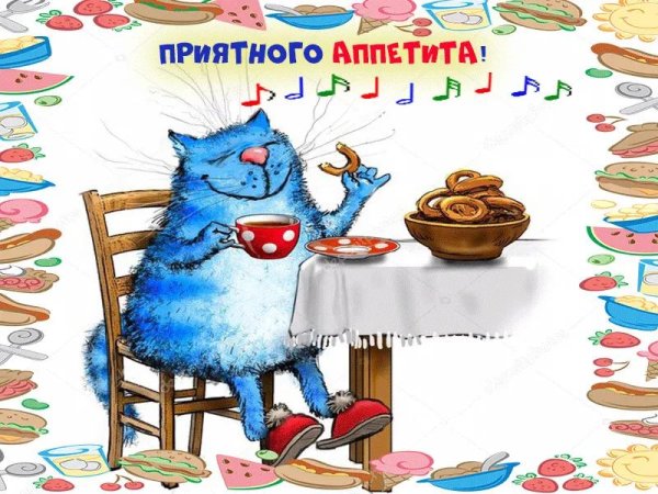 синие котики ирины зенюк