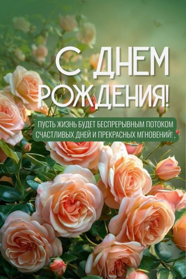 с днём рождения поздравления открытки красивые