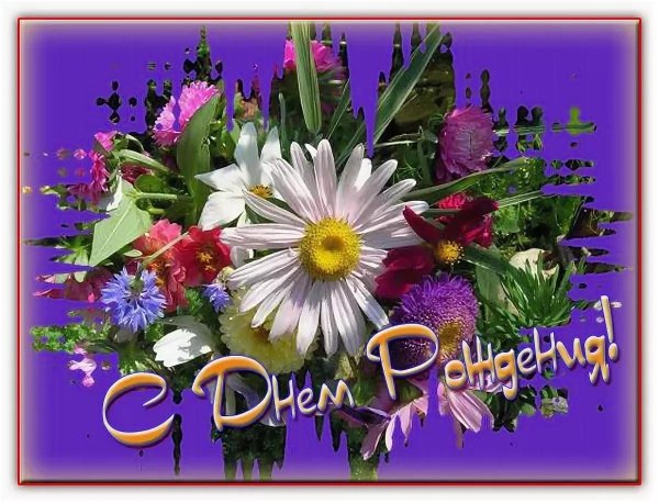 с днём рождения ниночка