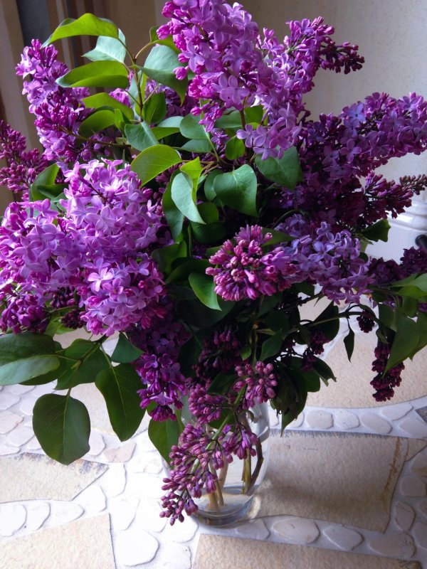 букет сирени