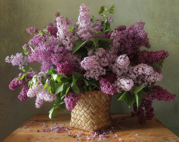 марина филатова фотонатюрморты сирени