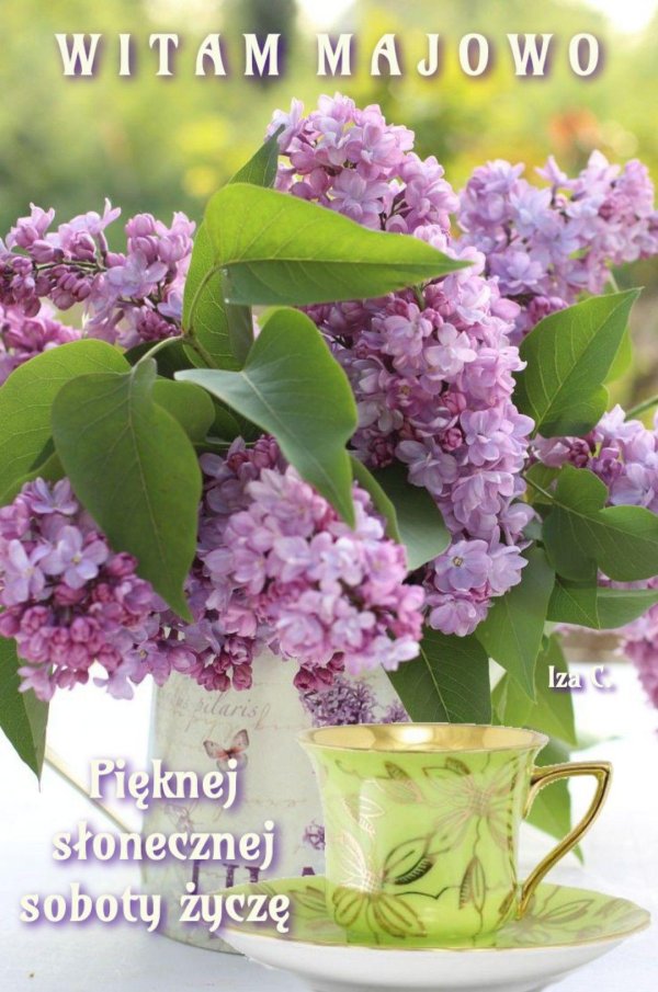 майское утро