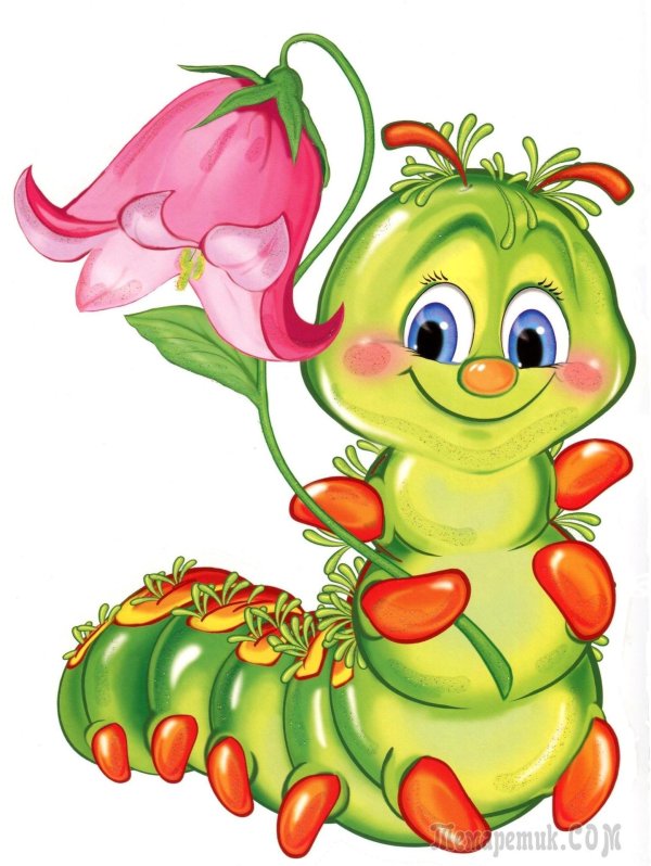 веселая гусеница