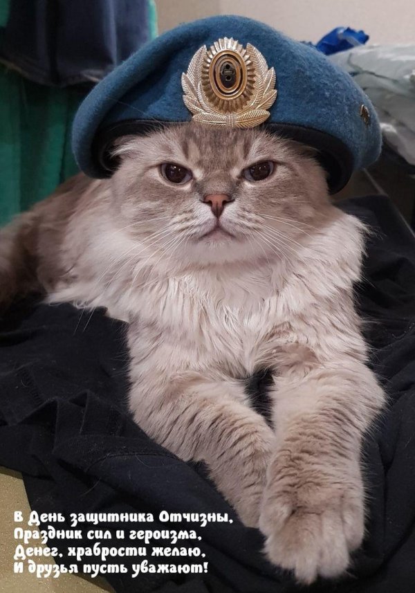 открытка с днем защитника котечества