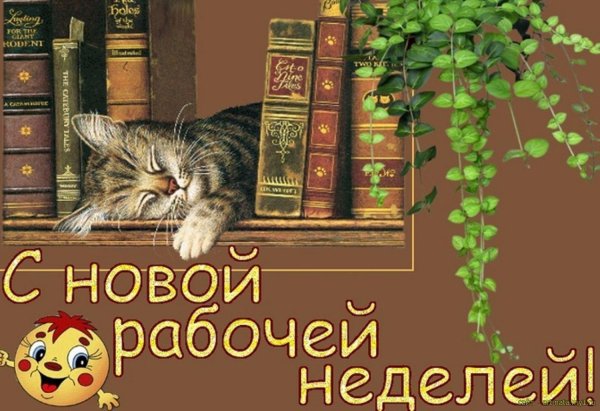 с новой рабочей неделей