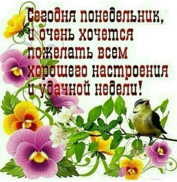 понедельник пожелания