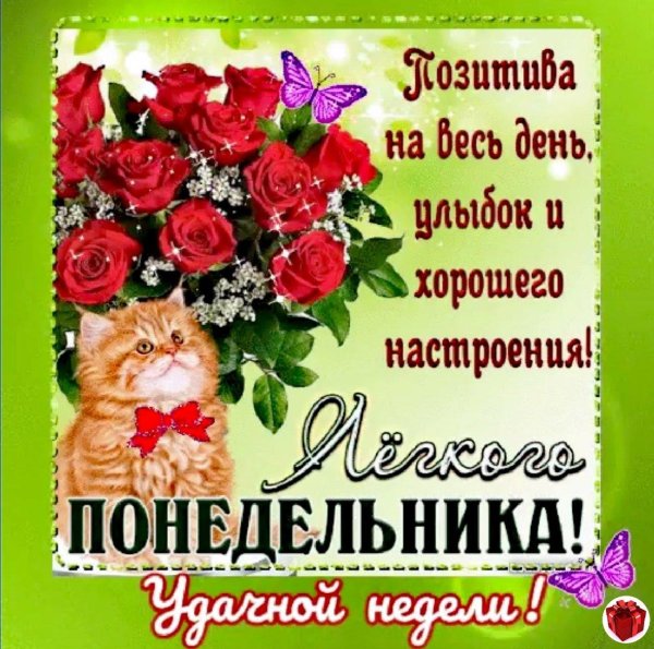 доброе утро понедельника хорошего настроения