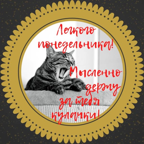 к понедельнику готов