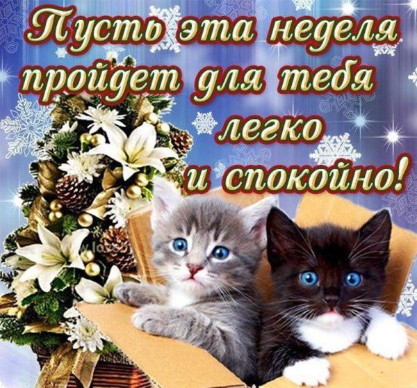 поздравление с понедельником