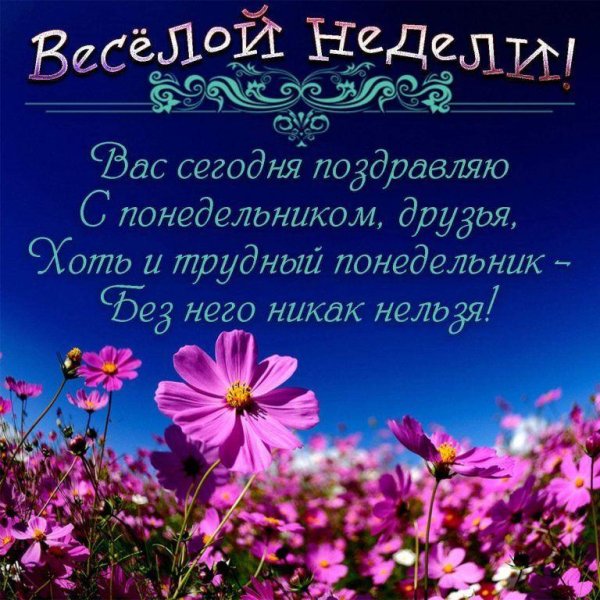 пожелание на каждый день