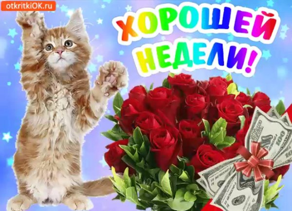 удачной недели пожелания