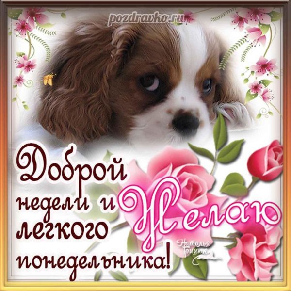 Хорошей недели