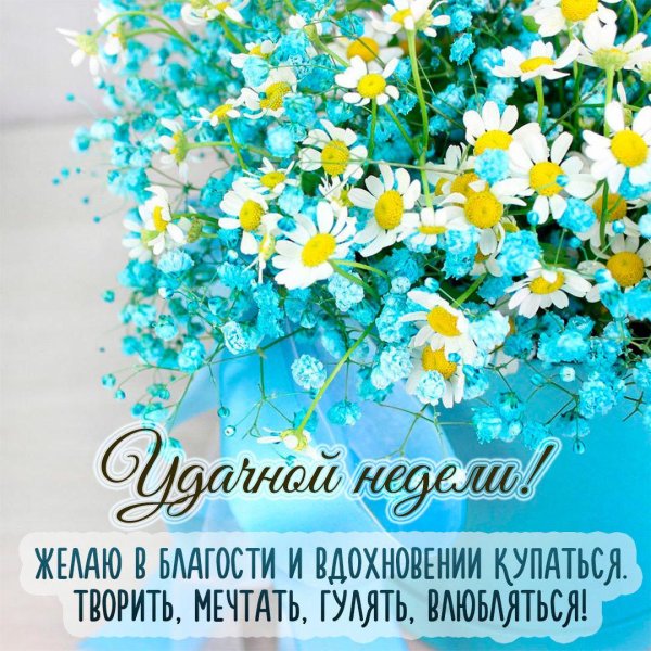 прекрасного начала недели