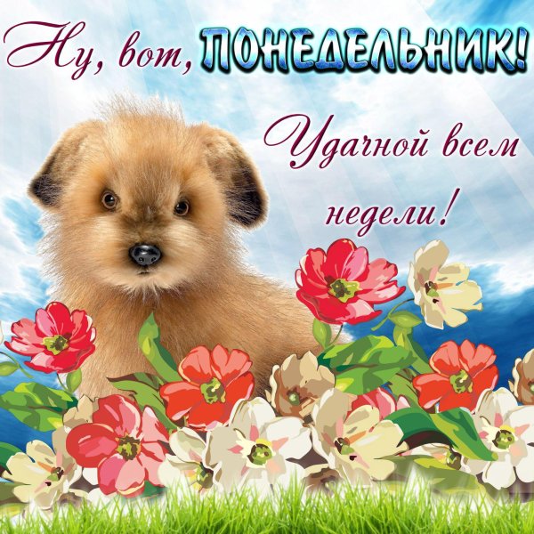 открытка легкого понедельника