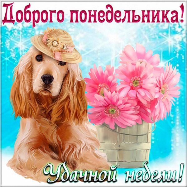 поздравление с понедельником
