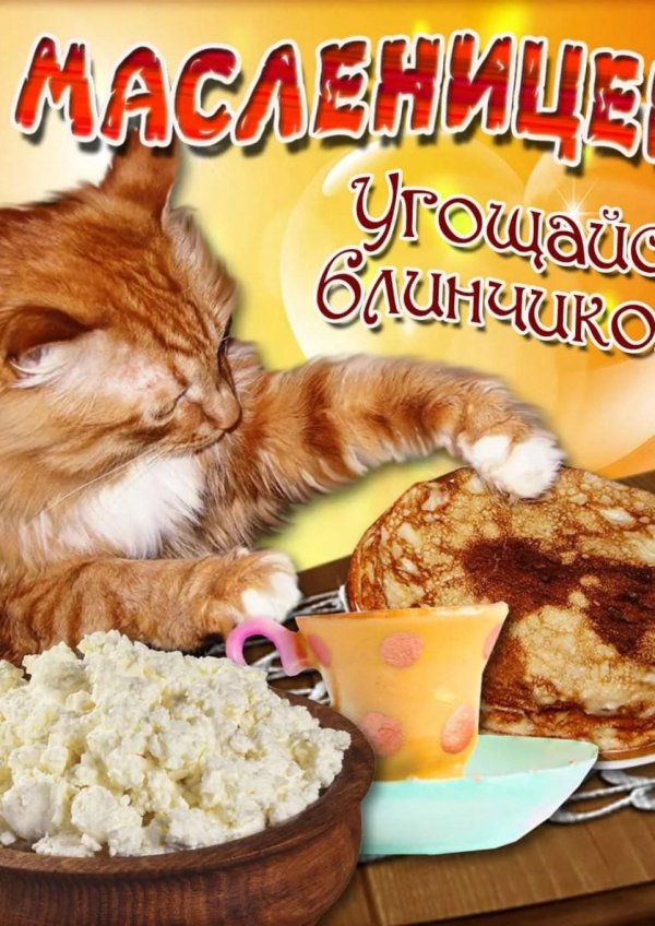 с масленицей поздравления прикольные