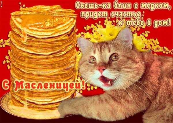 с масленицей прикольные поздравления